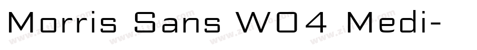 Morris Sans W04 Medi字体转换